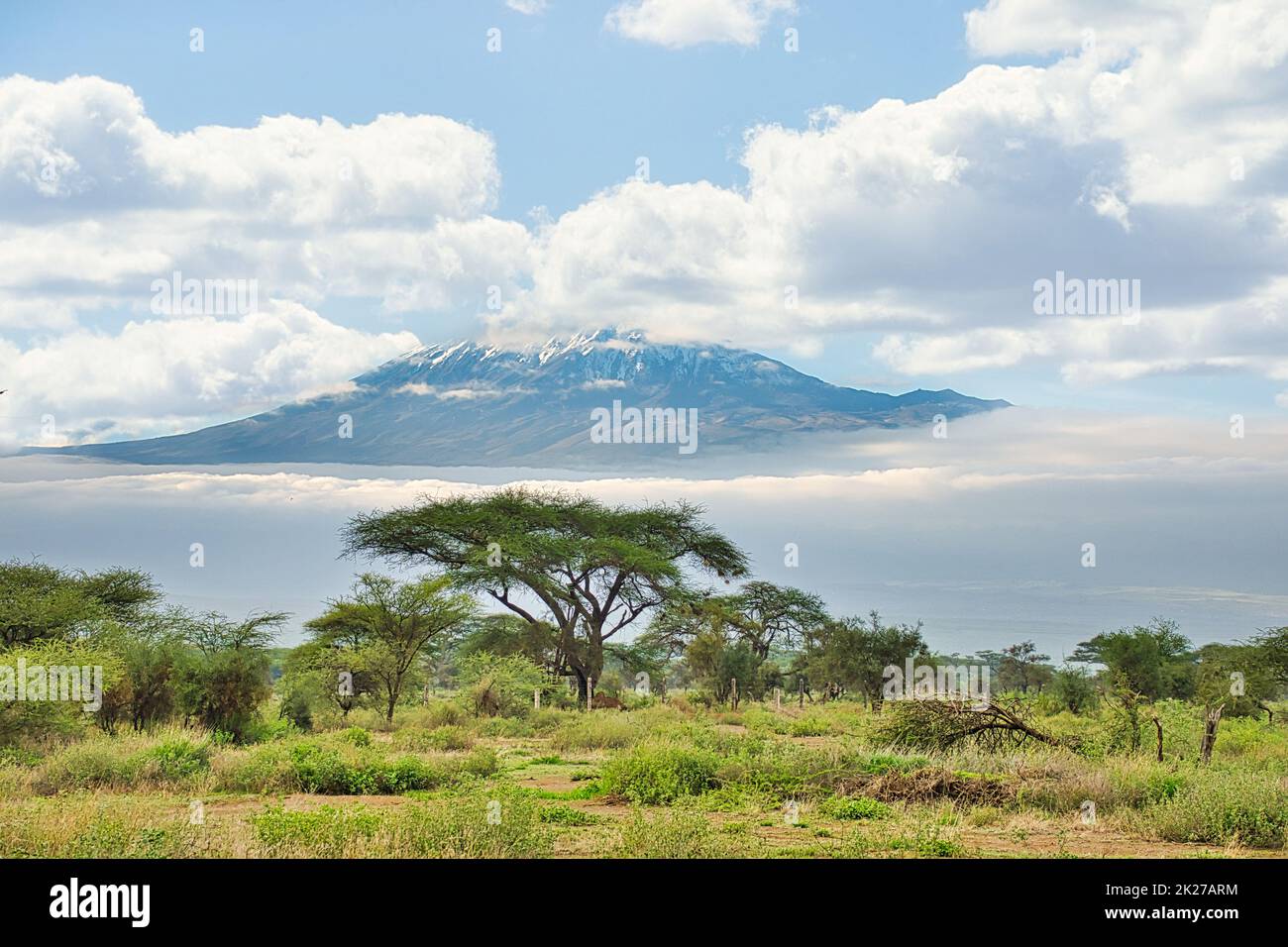 Bilder vom schneebedeckten Kilimandscharo in Kenia Stockfoto