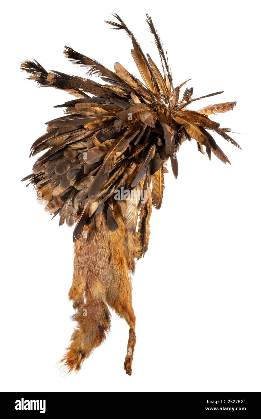 Nachbildung einer alten Haube aus Fuchsfell und Geißelfedern der nordamerikanischen Indianer Stockfoto