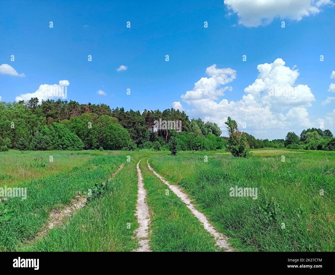 Land Sandweg mit Feld mit Sonnenblumen und grünes Gras an Straßenrändern. Sommer Landschaft Stockfoto