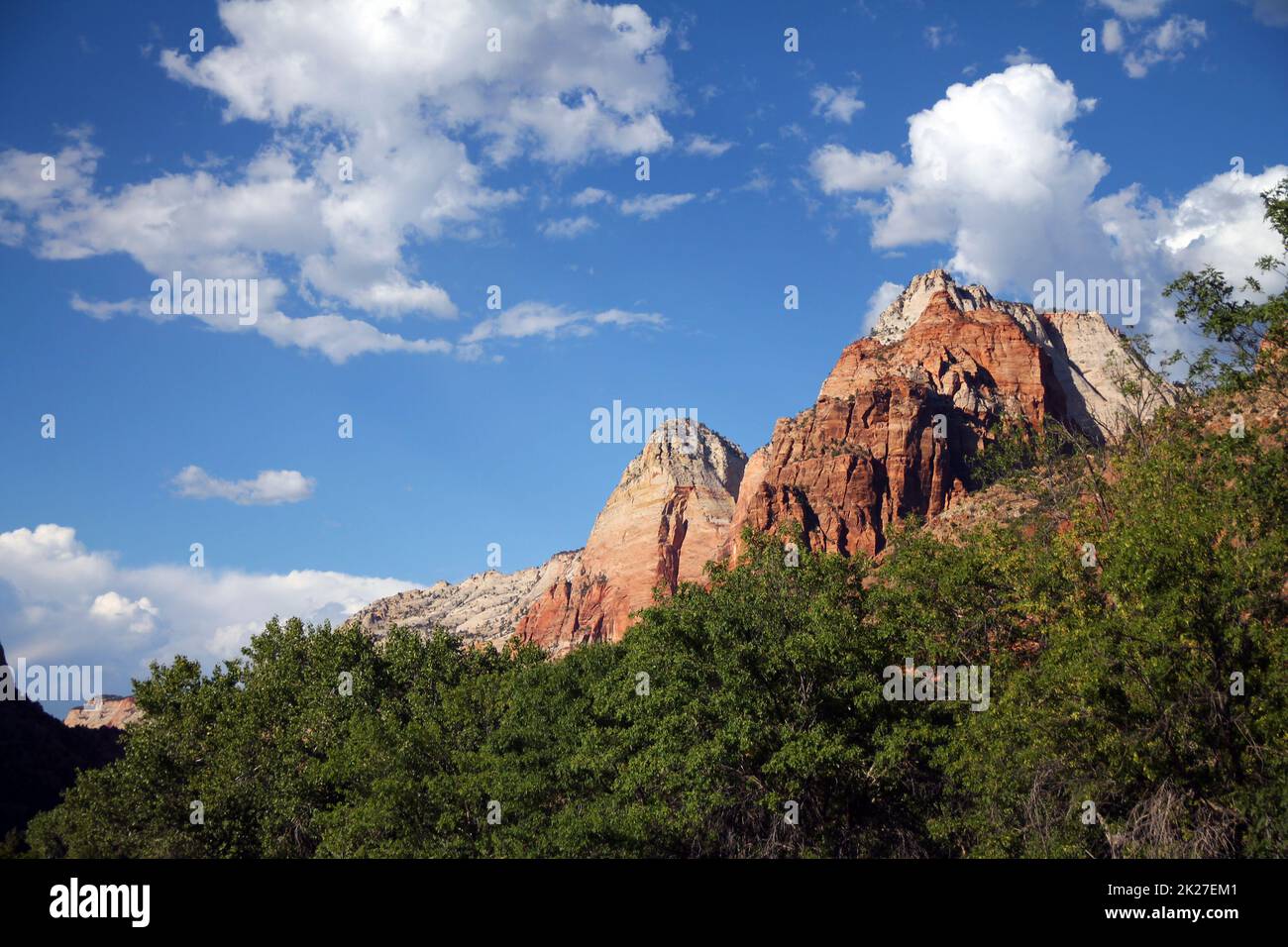 Die weißen und roten berühmten Gipfel auf den grünen Bäumen des Zion-Nationalparks Stockfoto
