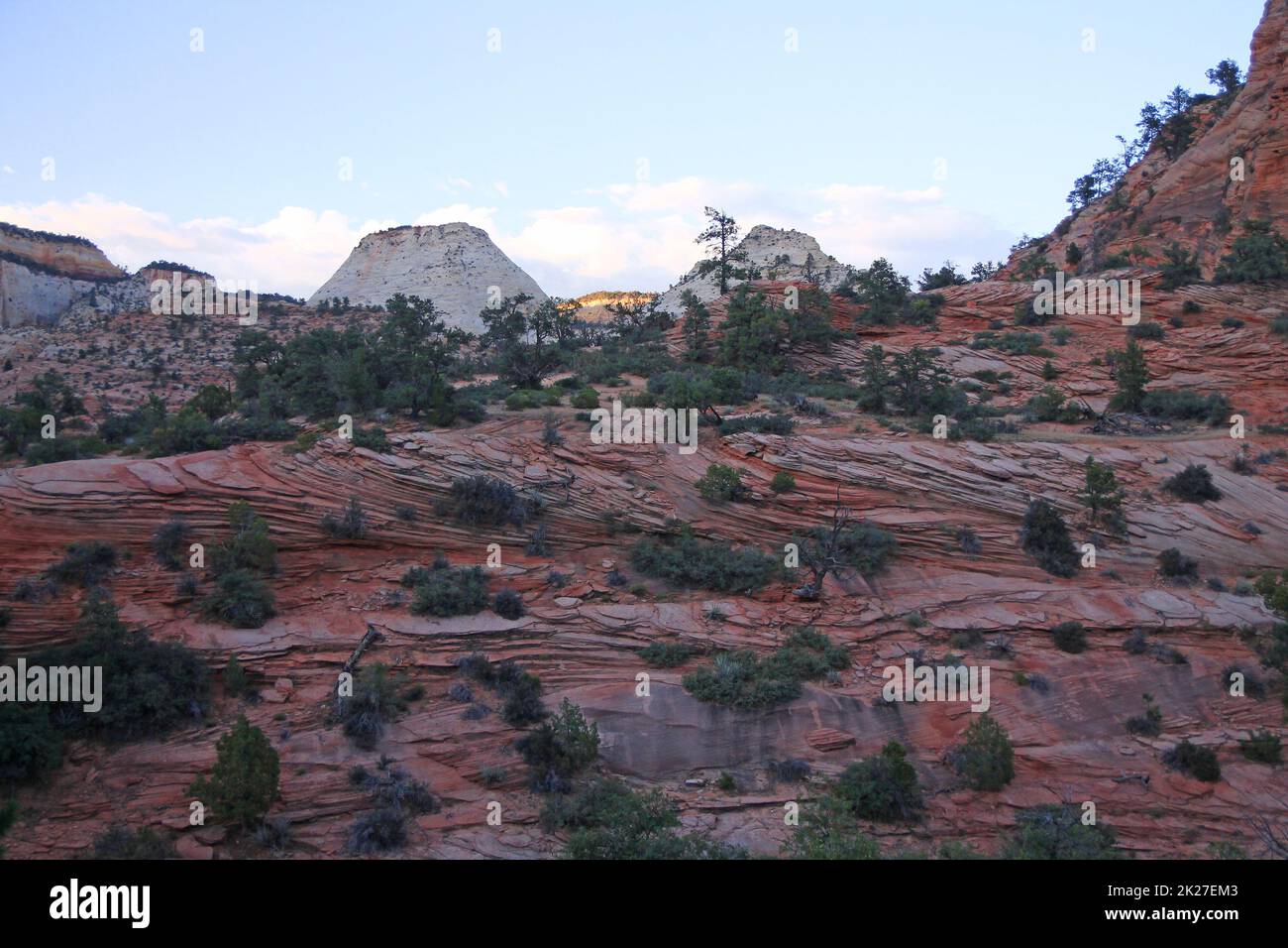 Nahaufnahme der roten Felswände mit dem weißen Schachbrett Mesa auf der Rückseite im Zion-Nationalpark Stockfoto