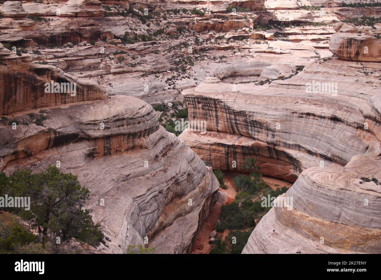 Die rosa Schluchten des Natural Bridges National Monument an einem bewölkten Tag Stockfoto