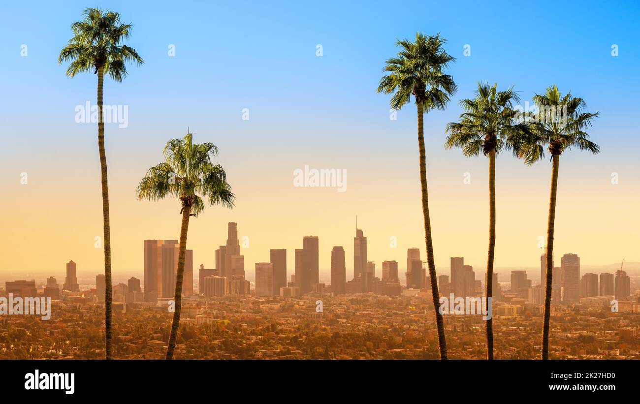 Die Skyline von Los angeles mit Palmen Stockfoto