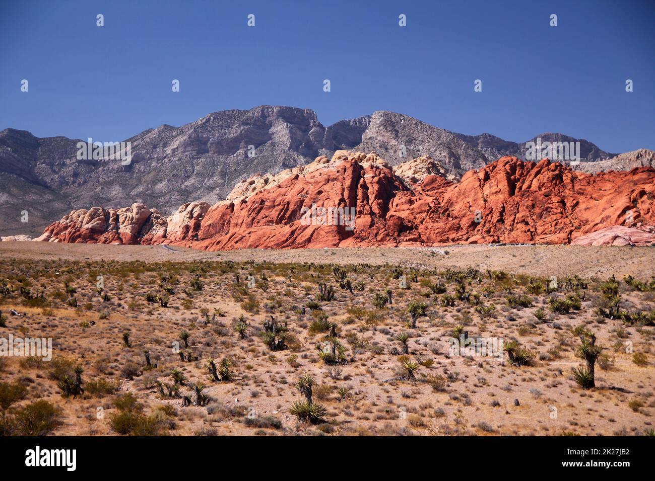 Die roten Berge, die Wüste und die Straße im Red Rock Canyon Stockfoto