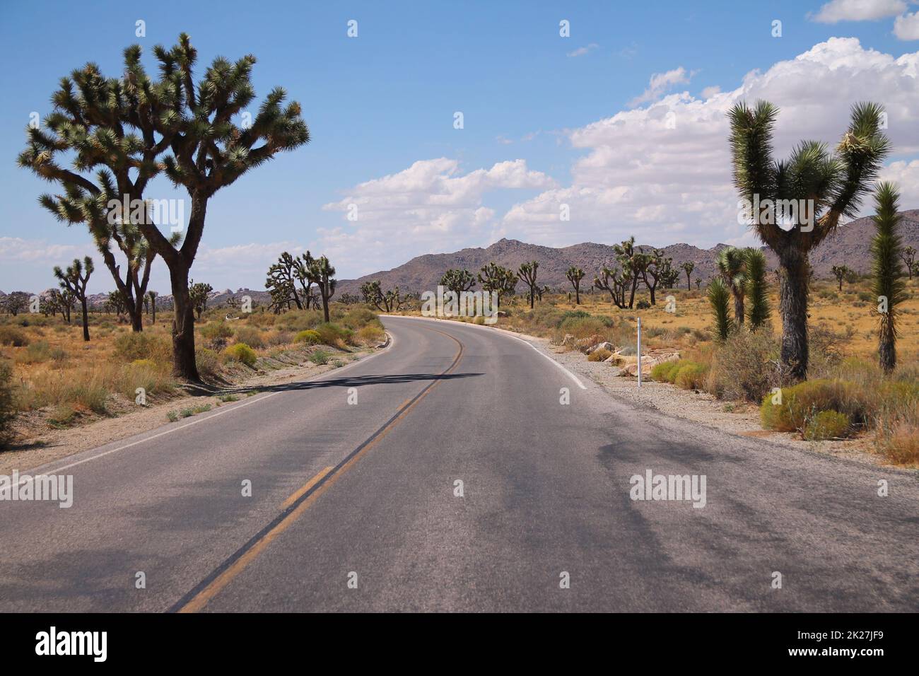 Der Staub der Straße, die den Joshua Tree-Nationalpark überquert Stockfoto