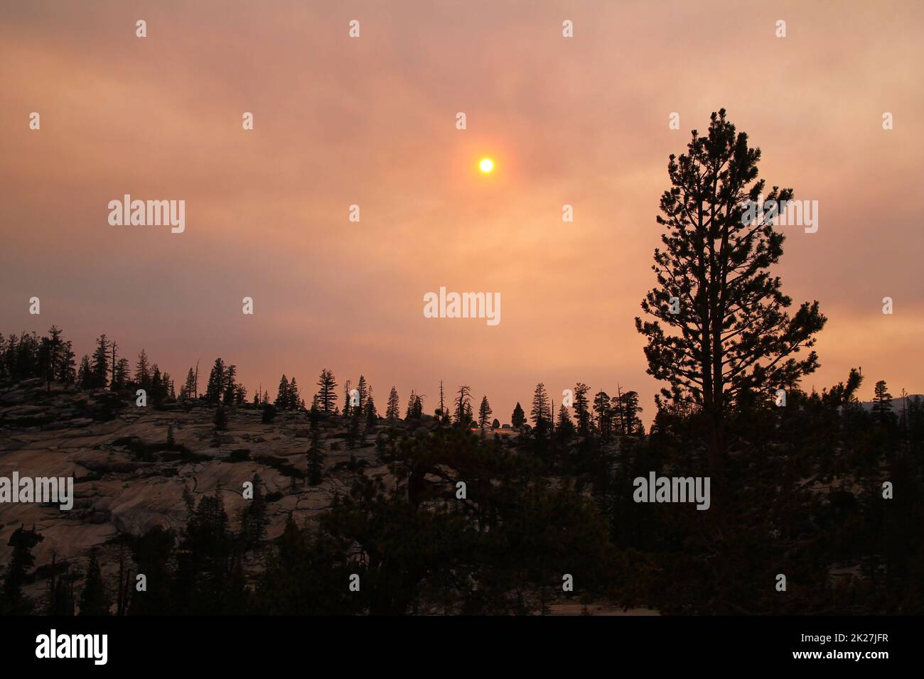 Die rote Sonne hinter Nebel und Asche während eines wilden Feuers im Yosemite-Nationalpark Stockfoto