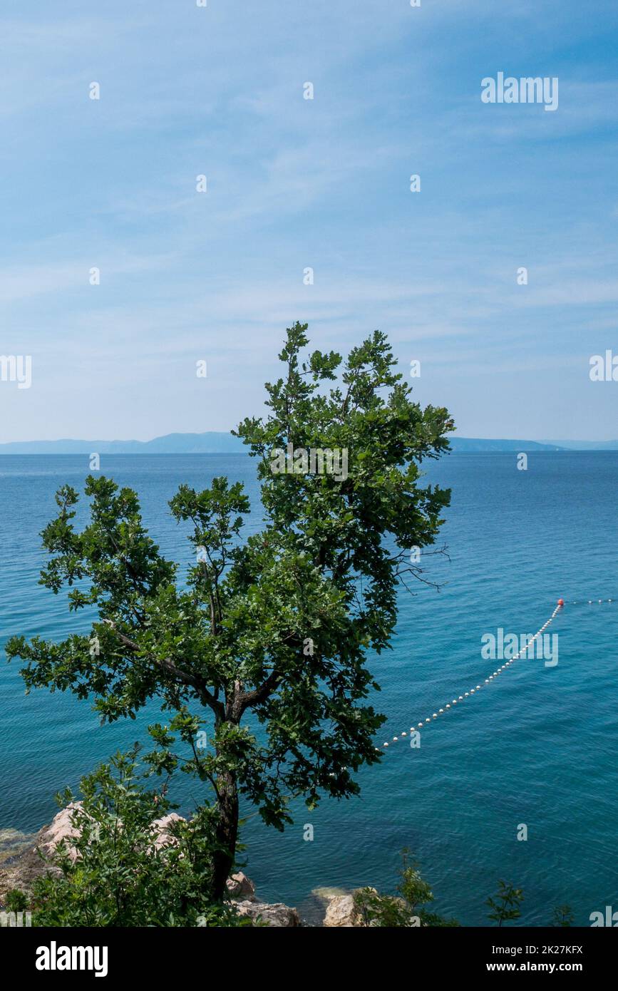 Meer, Strand und grüne Bäume in Kostrena, Kroatien Stockfoto