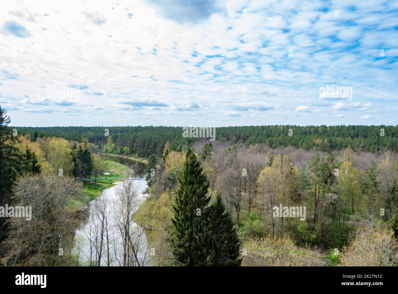 Blick von oben auf den Wald und den Fluss im Frühling Stockfoto