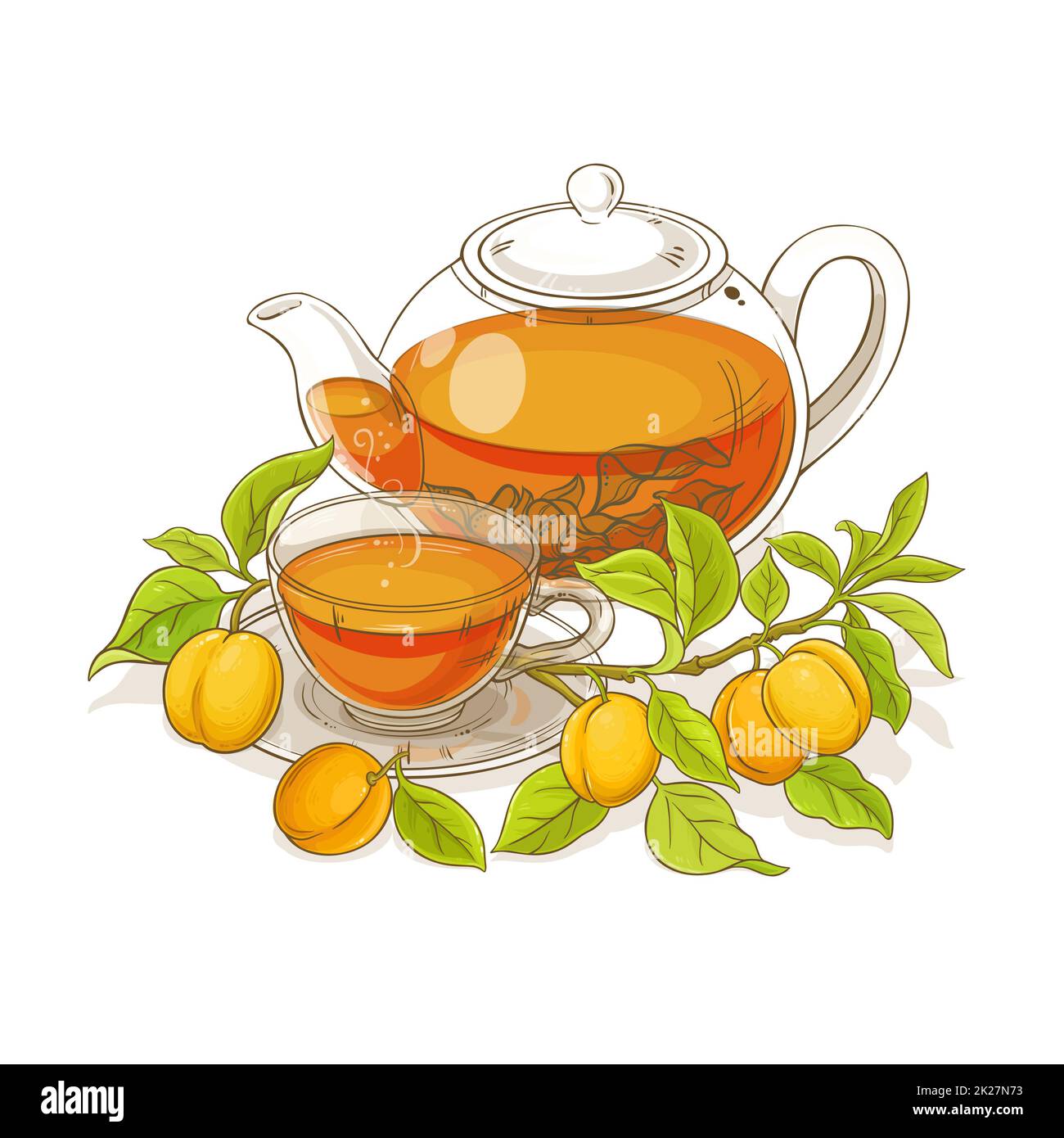 Aprikosen-Tee-Illustration Stockfoto