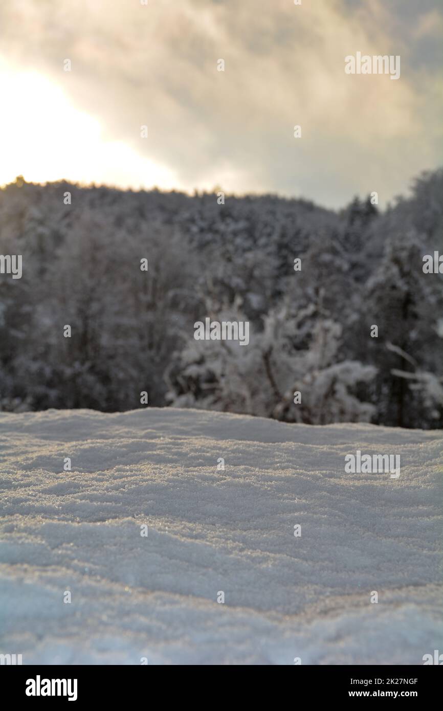 Tiefer Schnee mit verschwommenen Bäumen im Wald Stockfoto