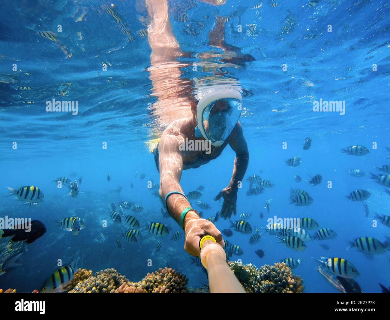 Schnorcheln Schwimmen Sie im Korallenriff im Roten Meer, Ägypten Stockfoto