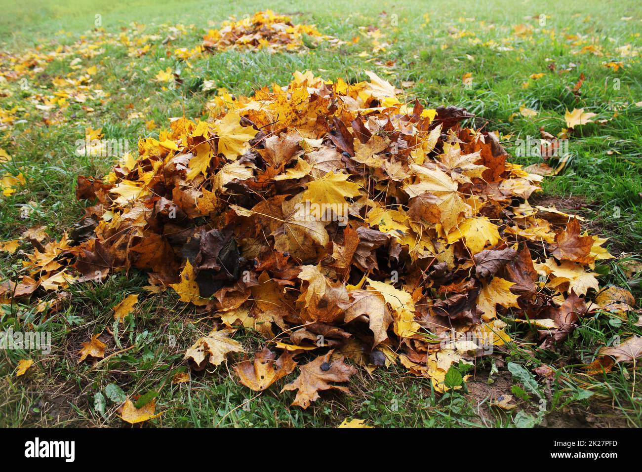 Haufen Laub im Herbst Park. Herbst Hintergrund Stockfoto