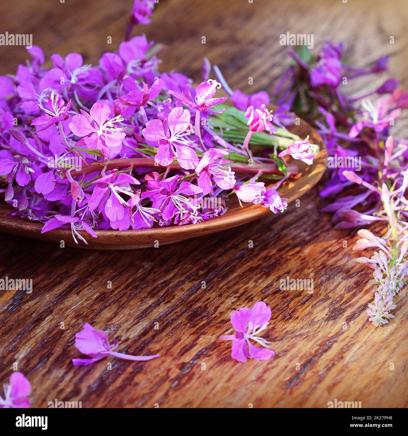 Blume - Weidenröschen Epilobium Angustifolium auf hölzernen Hintergrund Stockfoto