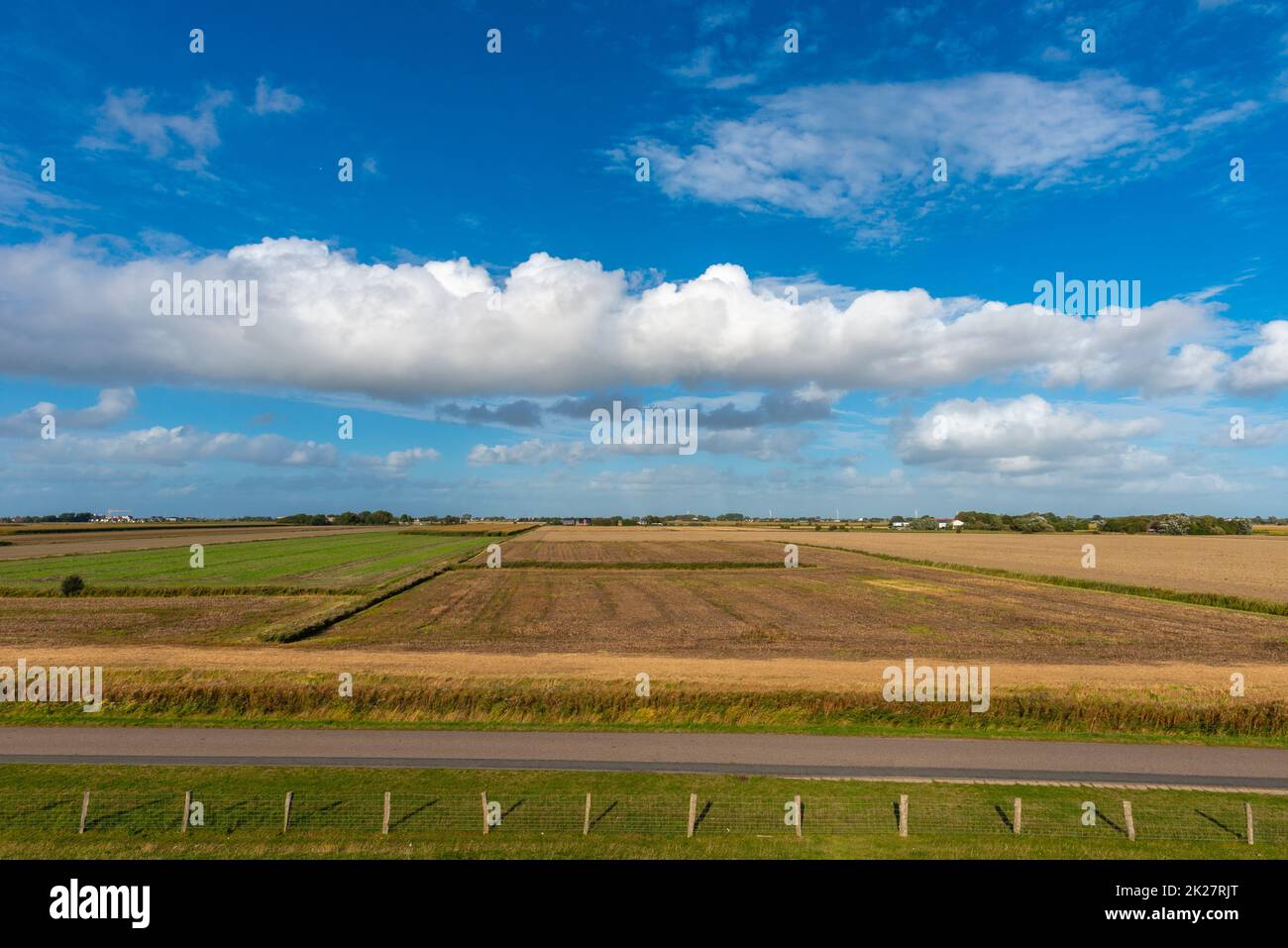 Land mit Landwirtschaft auf der Halbinsel Nordstrand, Nordsee, Nordfriesland, Schleswig-Holstein, Norddeutschland, Stockfoto
