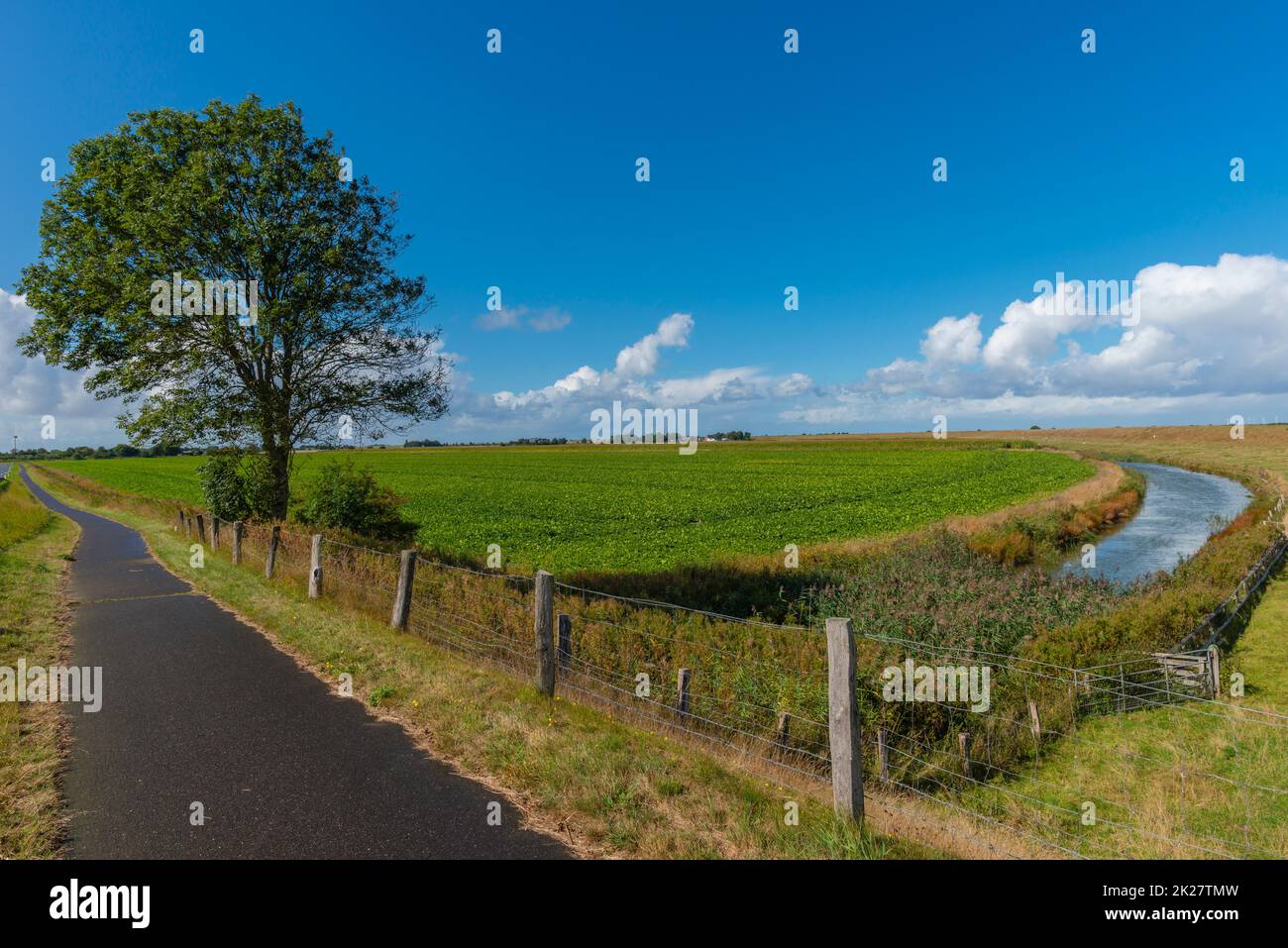 Land mit Landwirtschaft auf der Halbinsel Nordstrand, Nordsee, Nordfriesland, Schleswig-Holstein, Norddeutschland, Stockfoto