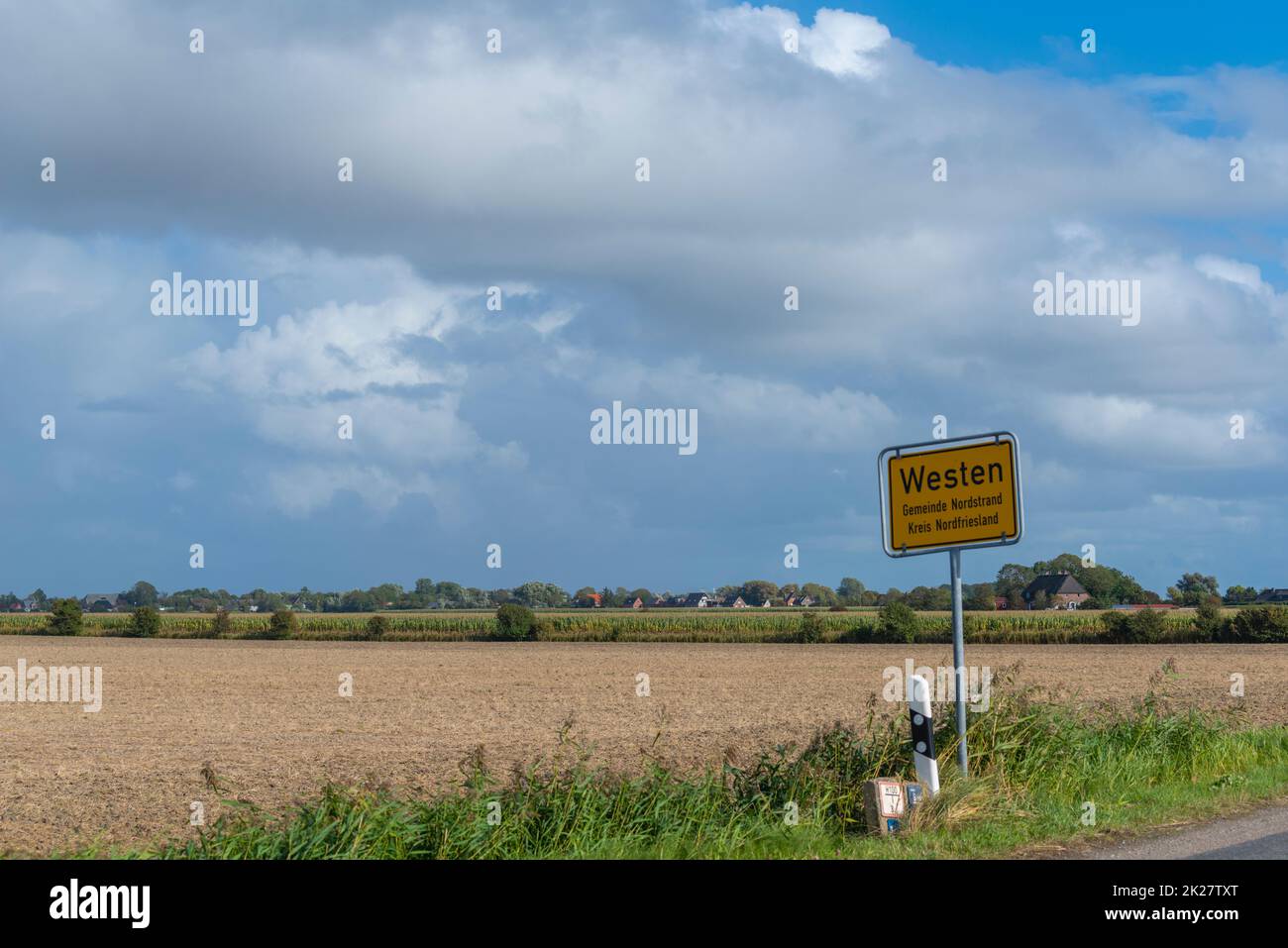 Land mit Landwirtschaft auf der Halbinsel Nordstrand, Nordsee, Nordfriesland, Schleswig-Holstein, Norddeutschland, Stockfoto
