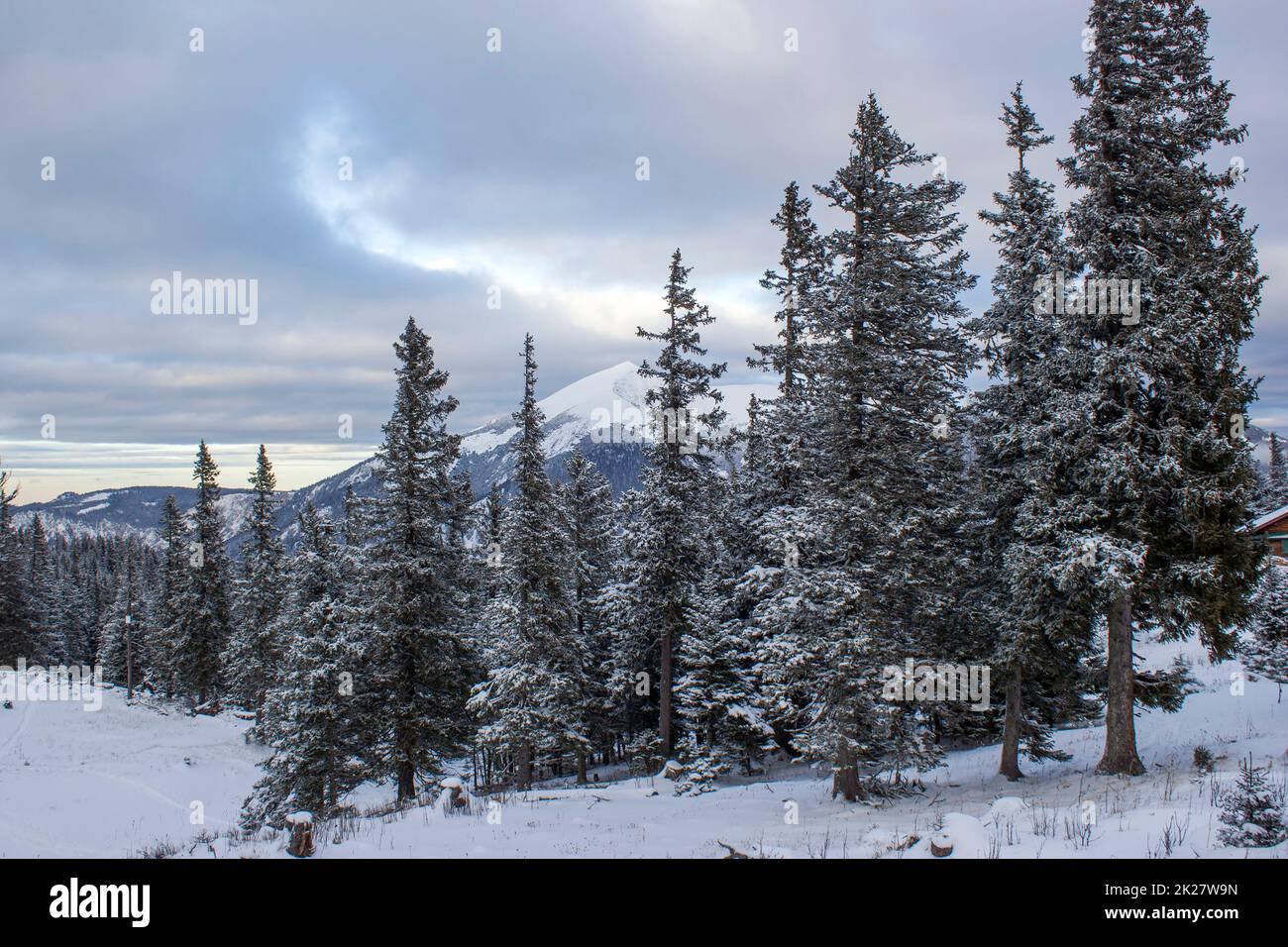 Winterlandschaft - Rax Berg in den österreichischen Alpen, Niederösterreich Stockfoto