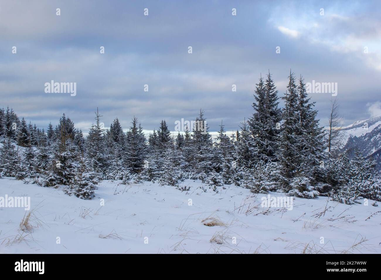 Winterlandschaft - Rax Berg in den österreichischen Alpen, Niederösterreich Stockfoto