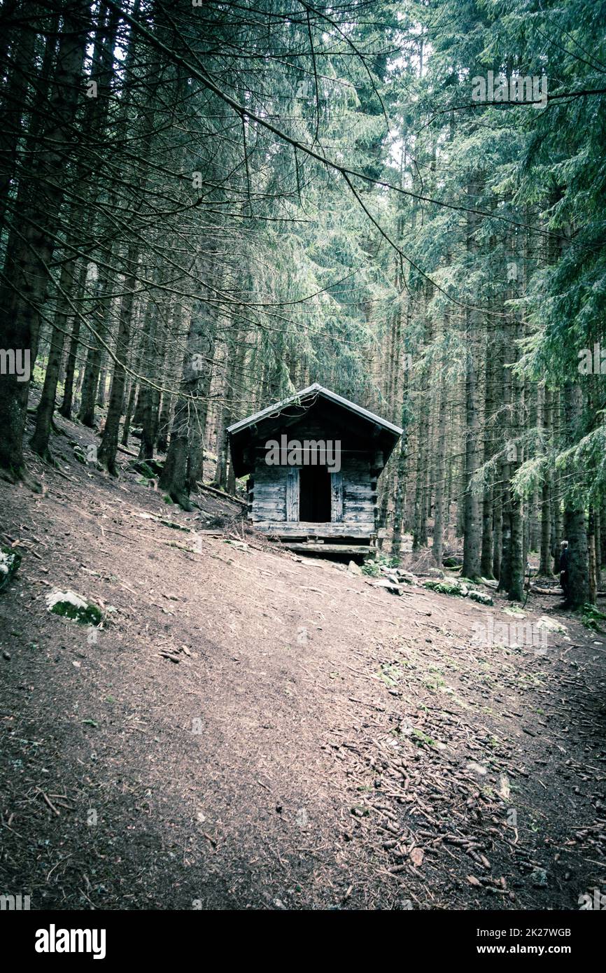 Kleine Holzkabine in einem dunklen Tannenwald Stockfoto