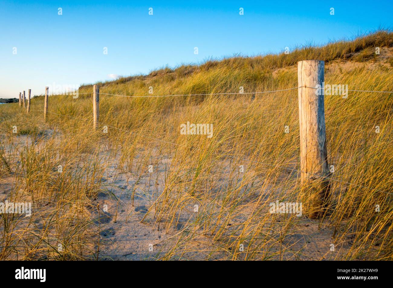 Sanddüne und Zaun am Strand bei Sonnenuntergang. Re Island Stockfoto