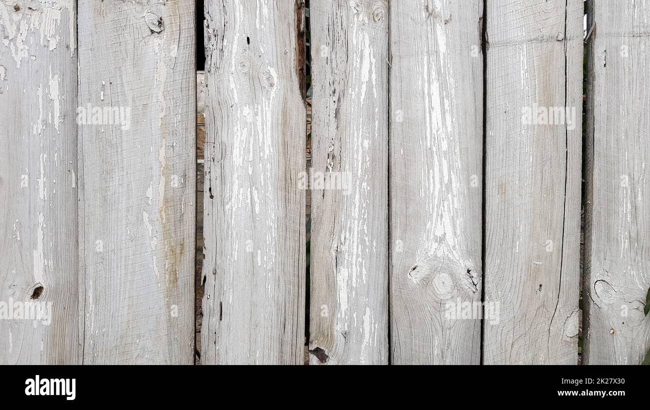 Holzstruktur Weiße Holzstruktur mit natürlichen Mustern auf dem Hintergrund. Holzfußboden, alte Hintergrundfläche von natürlichen Bäumen. Stockfoto