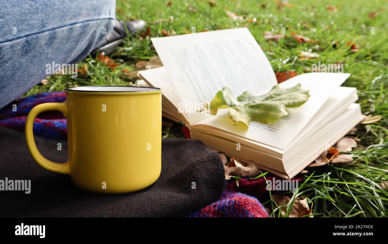 Ein Mädchen sitzt auf einer Decke im Herbstwald, liest ein Buch und trinkt an einem warmen Tag auf einer grünen Wiese ein heißes Getränk aus einem gelben Becher in einem Stadtpark. Das Konzept von Lesen, Entspannung und Komfort. Stockfoto