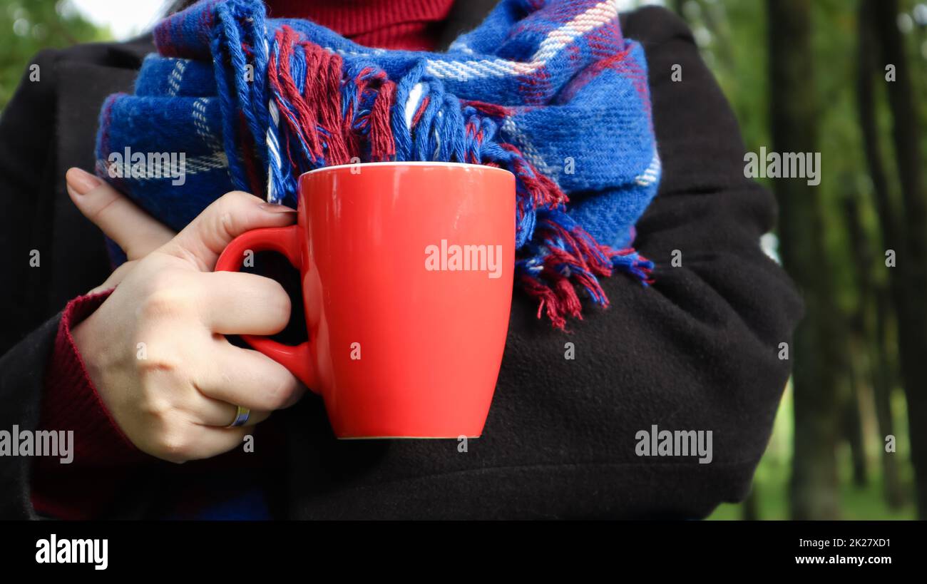 Eine rote Tasse Kaffee und ein Buch mit einer blauen karierten Wolldecke oder in den Händen einer Frau, die im Park einen Pullover und einen schwarzen Mantel trägt. Warmes und sonniges Wetter. Weiche, gemütliche Fotografie Stockfoto
