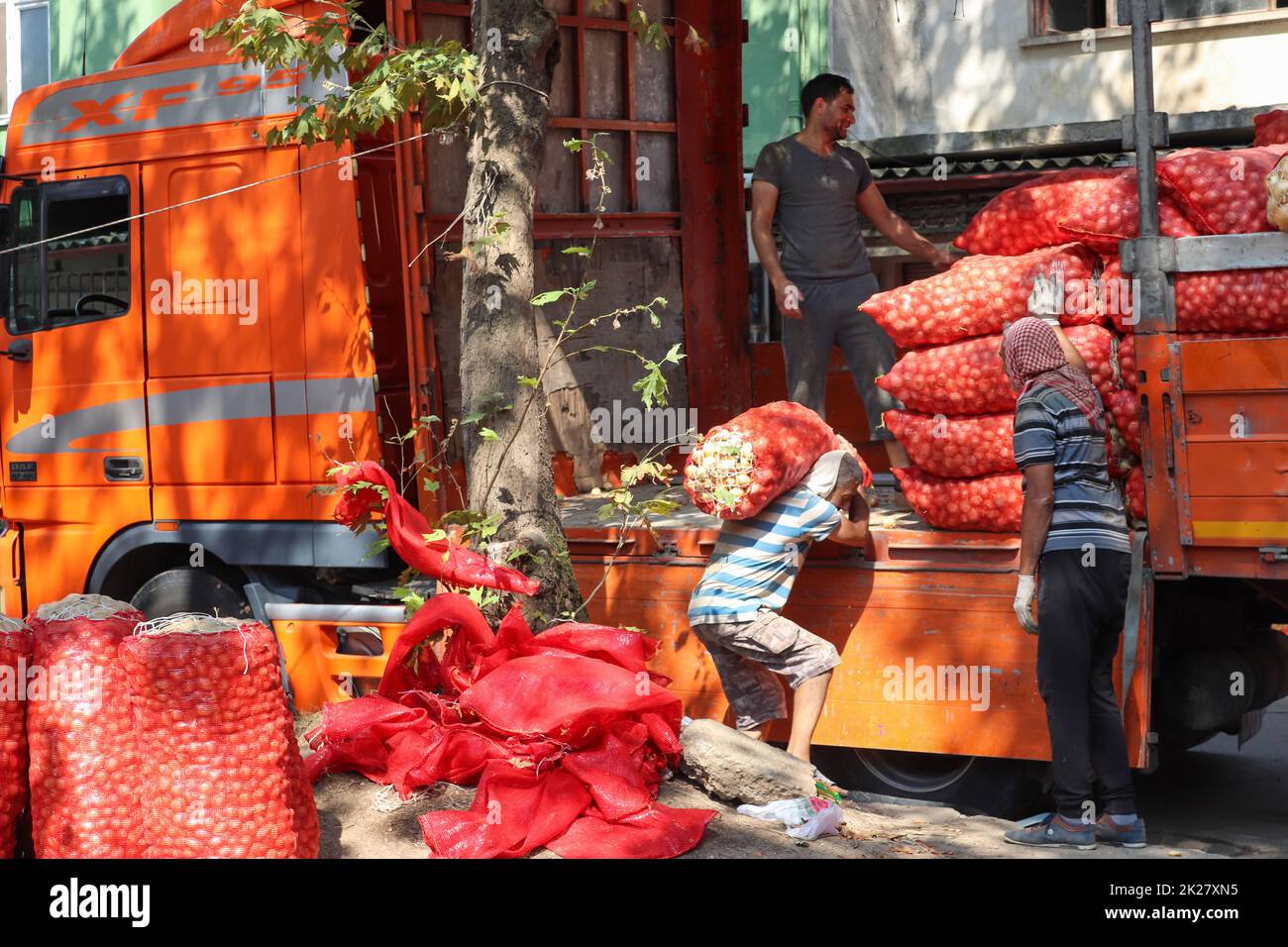 Sakarya, Türkei - August 2018 Kartoffel- und Zwiebelmarkt. Bilder aus dem Gemüsezustand. Träger, die Gemüse tragen. Kartoffelmarkt in Sakarya's Adap Stockfoto