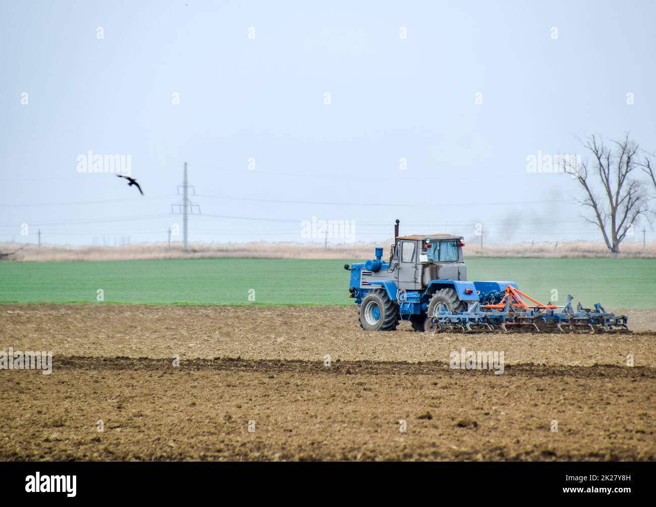Üppig und lockern den Boden auf dem Feld vor der Aussaat. Der Traktor pflügt ein Feld mit einem Pflug Stockfoto