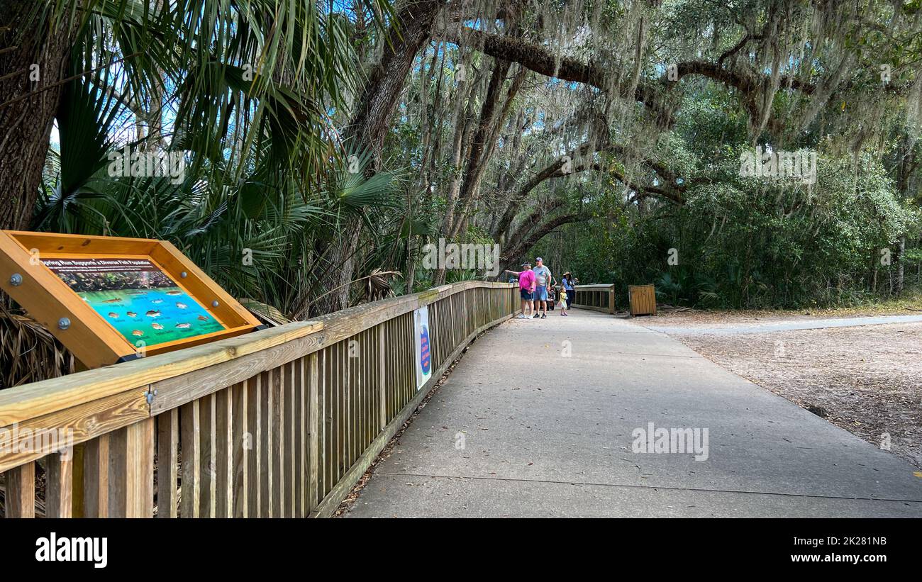 Orange City, FL USA - 4. Februar 2022: Die Promenade am Blue Springs State Park in Orange City, Florida. Am Blue Springs State Park in Orange Cit Stockfoto