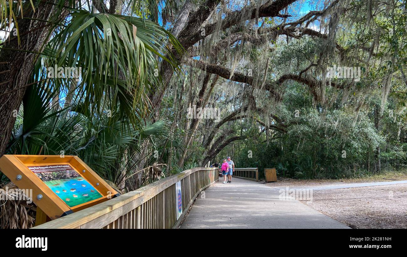 Orange City, FL USA - 4. Februar 2022: Die Promenade am Blue Springs State Park in Orange City, Florida. Stockfoto