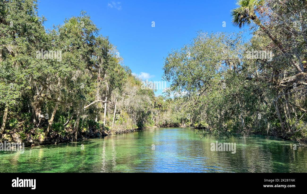 Orange City, FL USA - 4. Februar 2022: Die Quellen im Blue Springs State Park in Orange City, Florida. Stockfoto