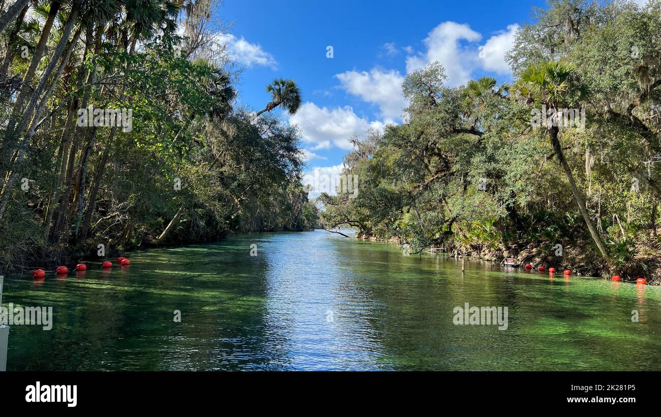 Orange City, FL USA - 4. Februar 2022: Die Quellen im Blue Springs State Park in Orange City, Florida. Stockfoto