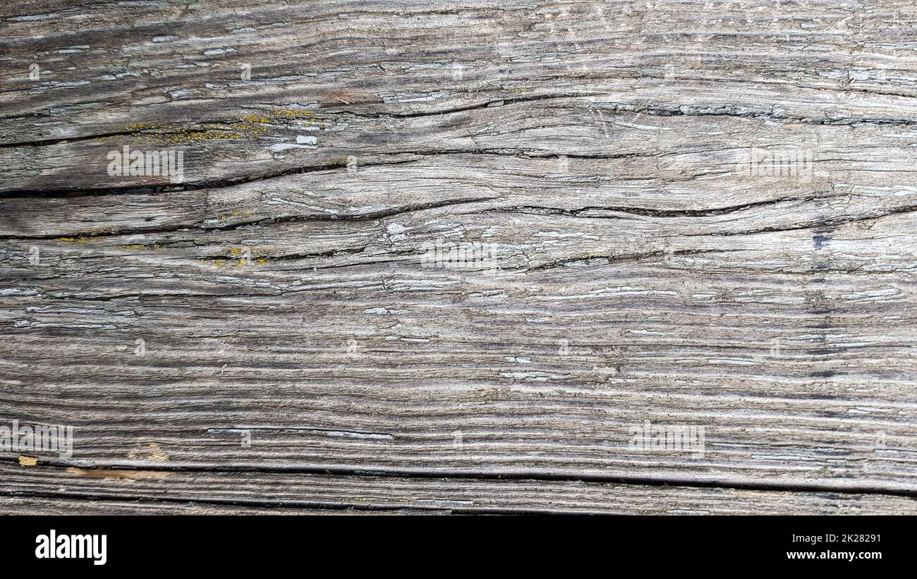 Holzstruktur Weiße Holzstruktur mit natürlichen Mustern auf dem Hintergrund. Holzfußboden, alte Hintergrundfläche von natürlichen Bäumen. Stockfoto