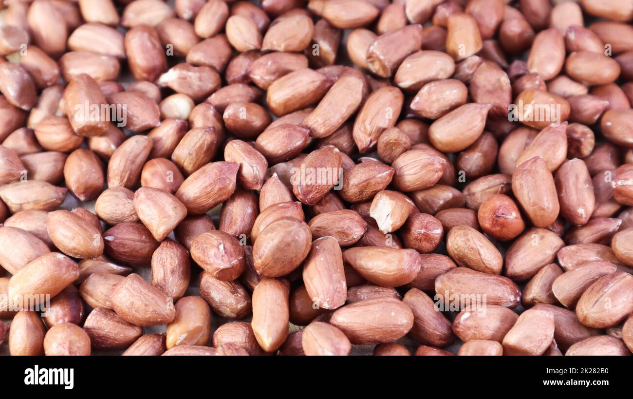 Ein Haufen roher Erdnüsse. Kulturerdnüsse, Erdnüsse oder Erdnüsse. Pflanze der Leguminosen-Familie. Landwirtschaftliche Nutzpflanzen im industriellen Maßstab. Südamerika gilt als Geburtsort der Erdnüsse. Stockfoto