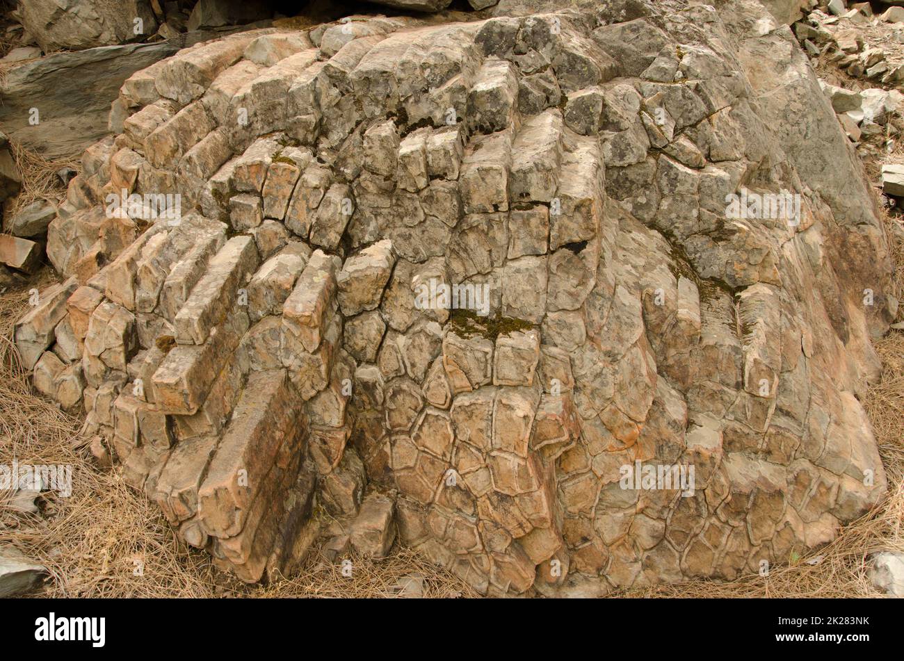 Felsen mit sechseckigen Basaltsäulen. Stockfoto