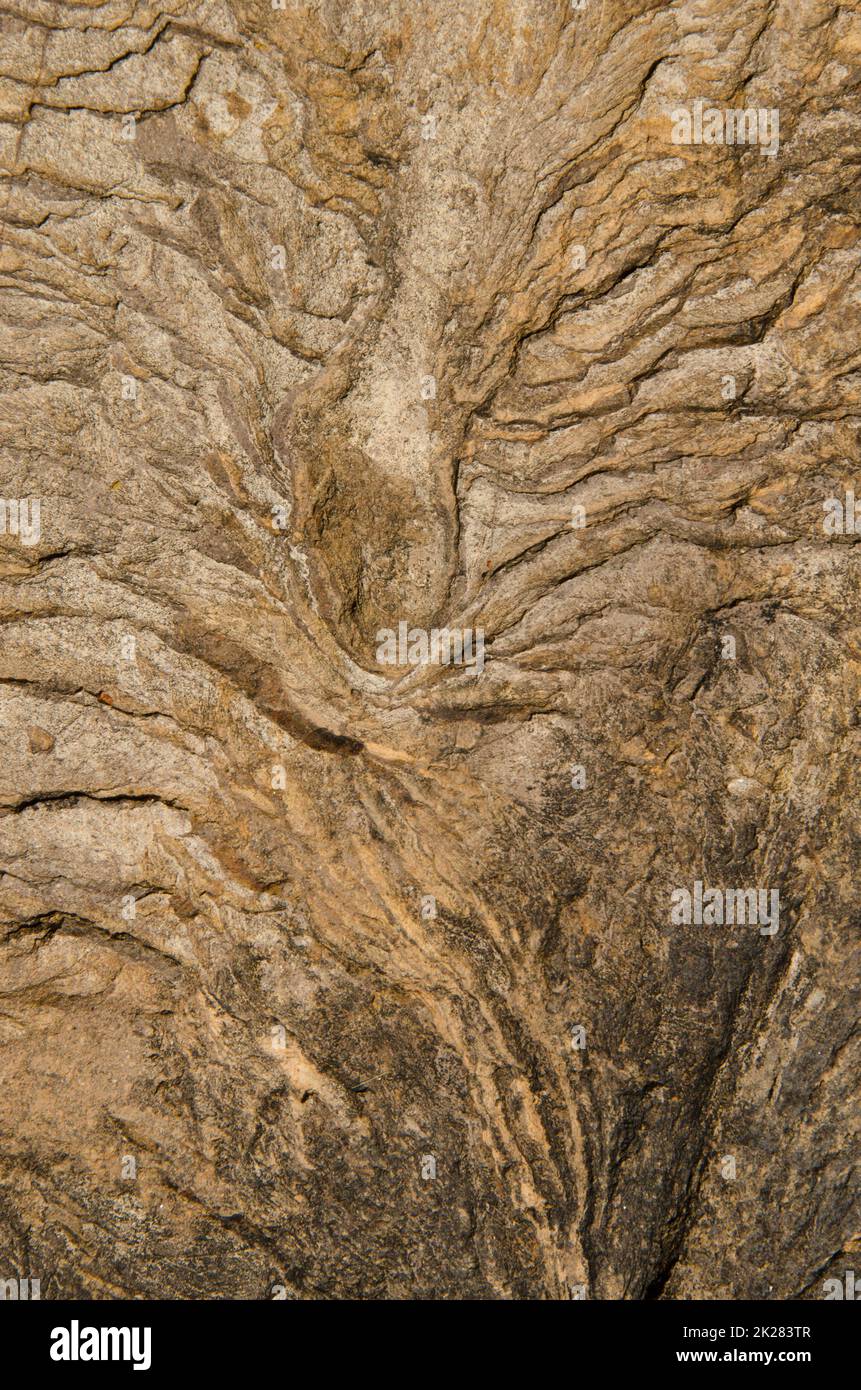 Risse und Flecken auf einem Felsen. Stockfoto
