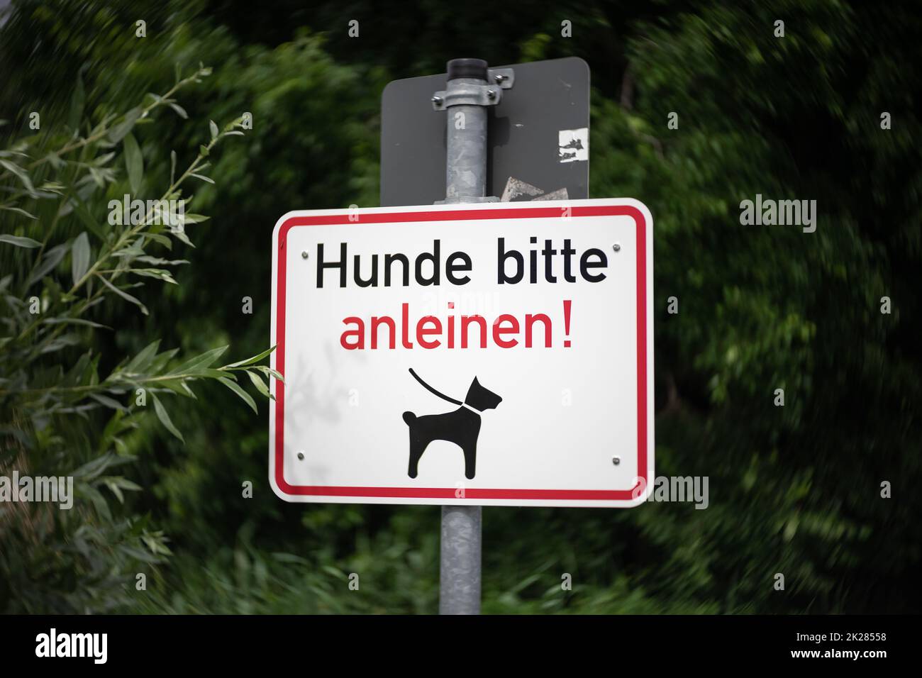 Deutsches Schild: Bitte halten Sie Ihren Hund an der Leine. Stockfoto