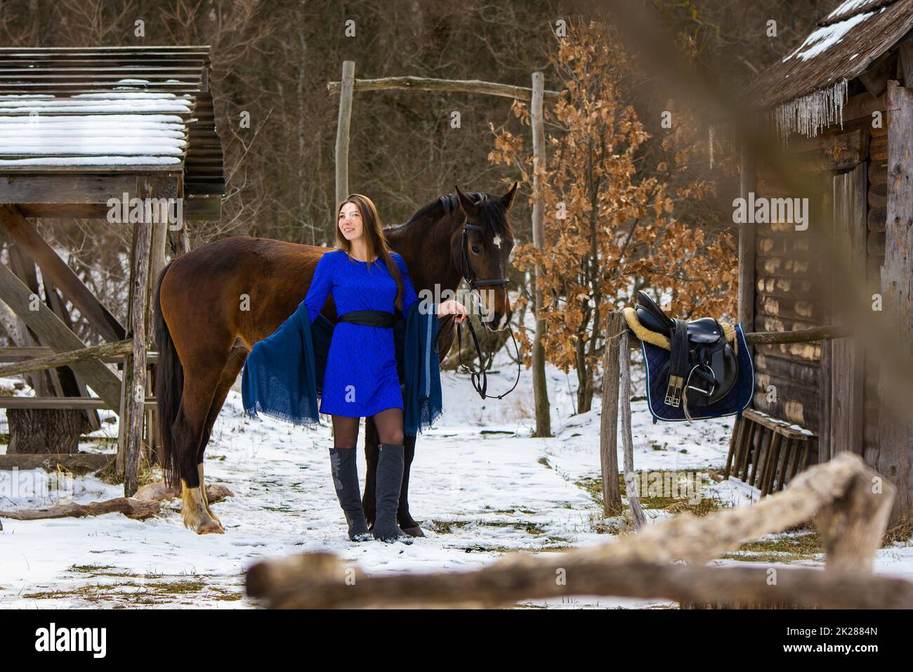 Ein schönes Mädchen in blauem Kleid steht mit einem Pferd vor dem Hintergrund alter Holzgebäude in einem Winterwald Stockfoto
