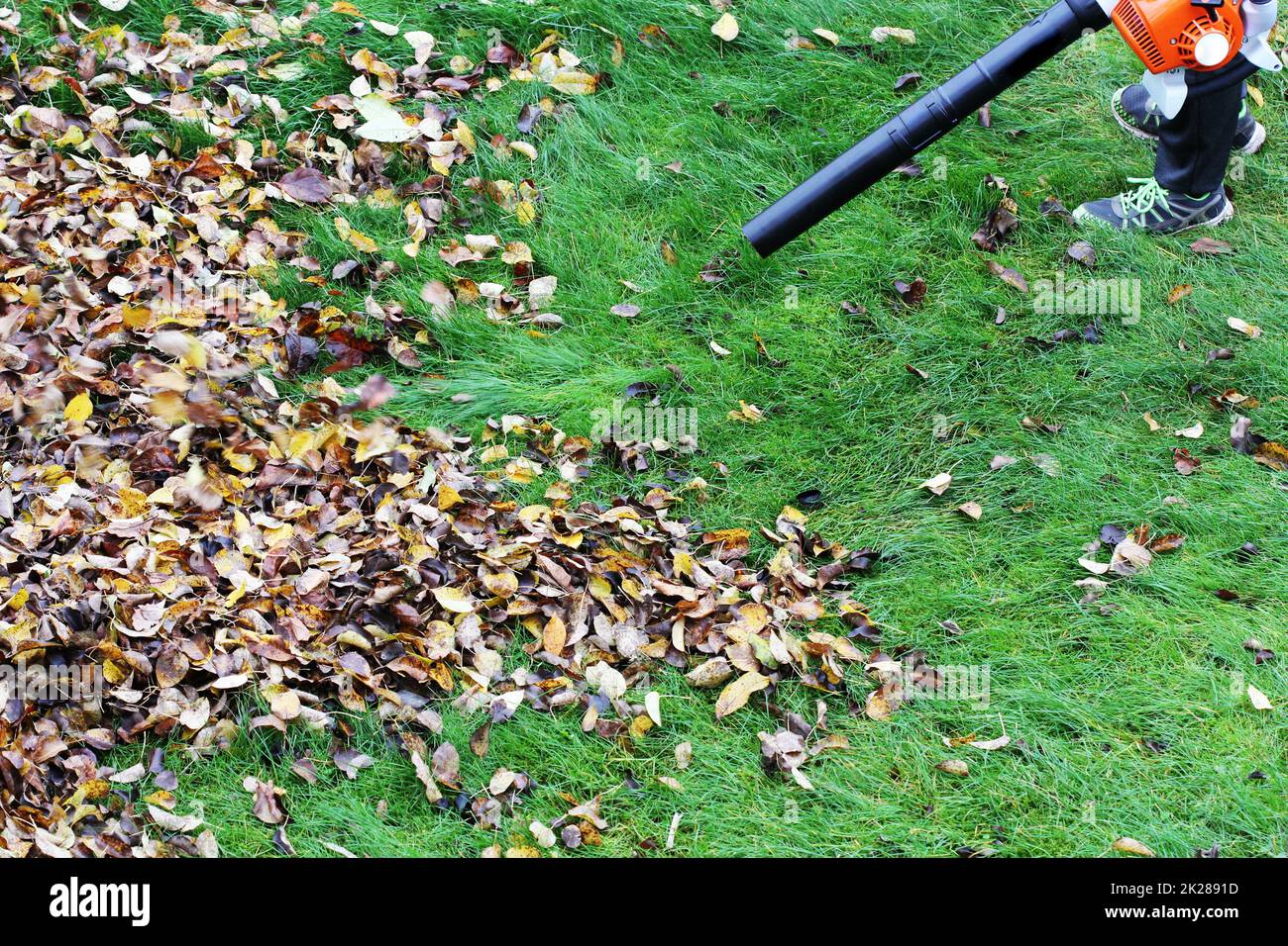 Gärtner, Clearing die Blätter mit einem laubbläser Werkzeug Stockfoto