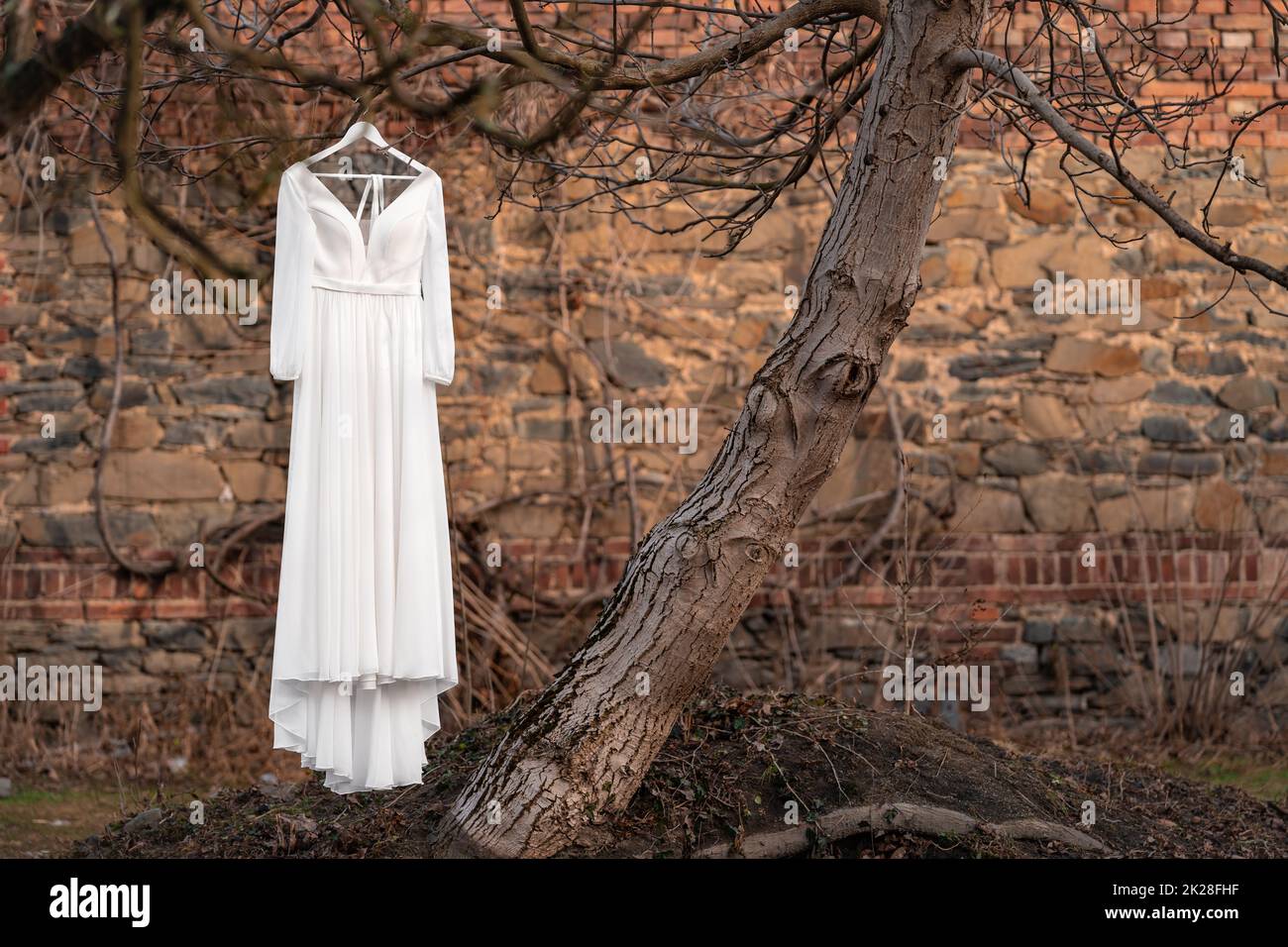 Weißes Hochzeitskleid auf einem Baum im Hof mit einer Backsteinmauer im Hintergrund Stockfoto