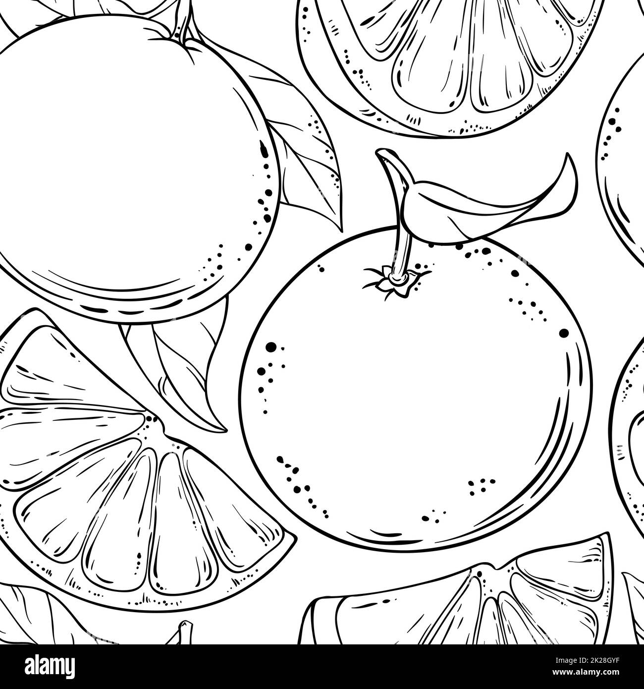 Grapefruitfrucht-Vektormuster Stockfoto