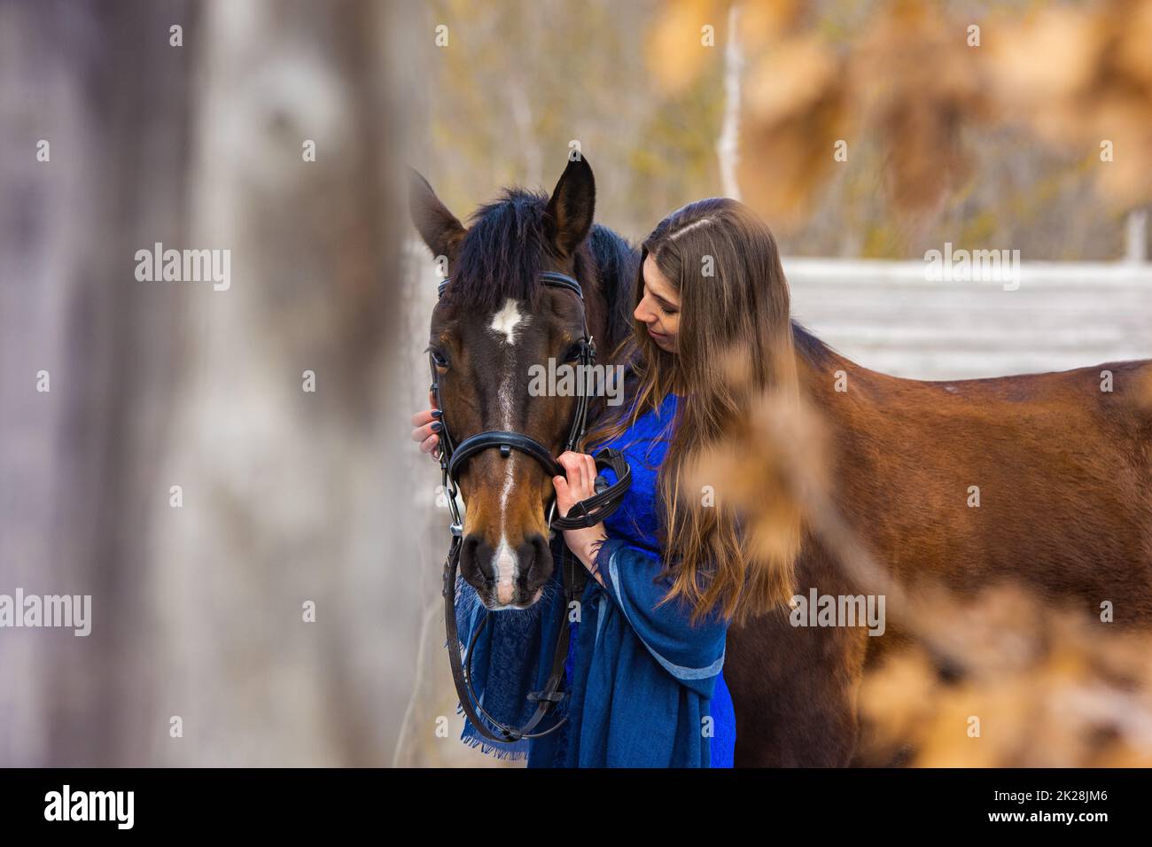Berührendes Porträt eines Mädchens in einem blauen Kleid mit einem Pferd Stockfoto