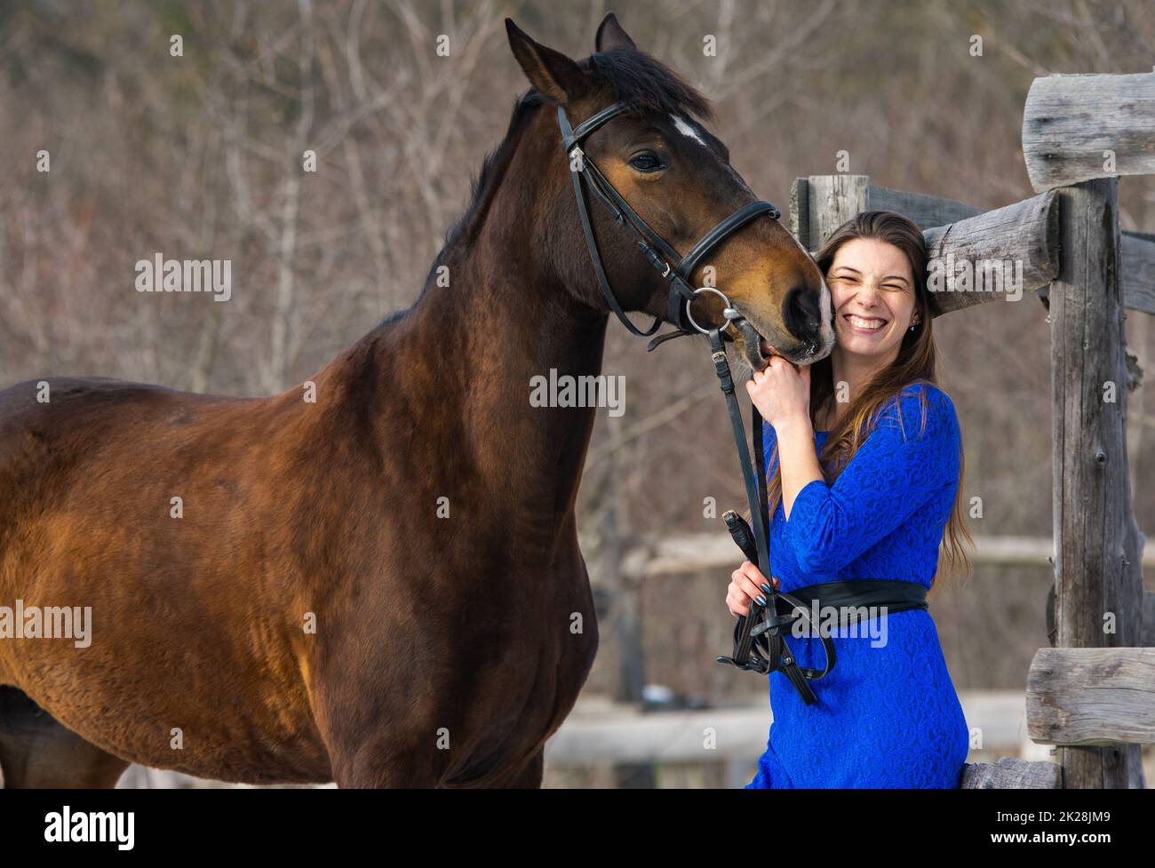 Das Pferd streichelt und beißt einem jungen schönen Mädchen in die Hand Stockfoto