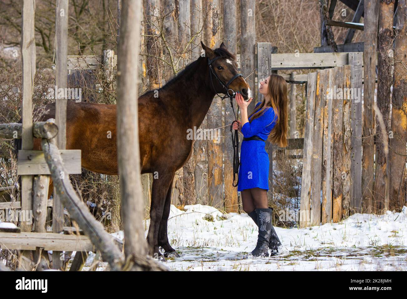 Ein schönes Mädchen in einem blauen Kleid steht mit einem Pferd vor dem Hintergrund eines alten Holzzauns Stockfoto