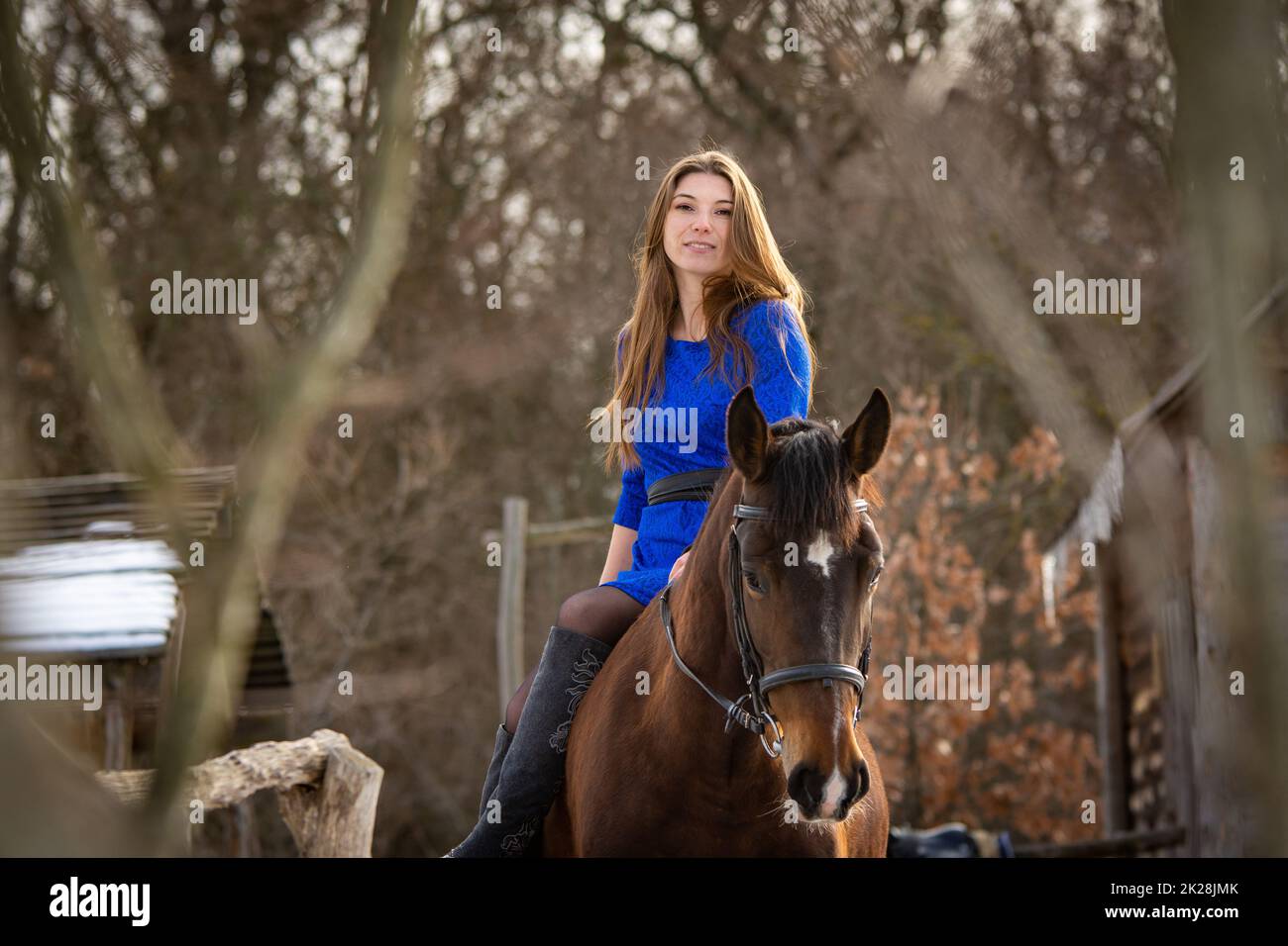 Ein Mädchen in einem blauen Kleid sitzt auf einem Pferd vor dem Hintergrund eines Winterwaldes Stockfoto