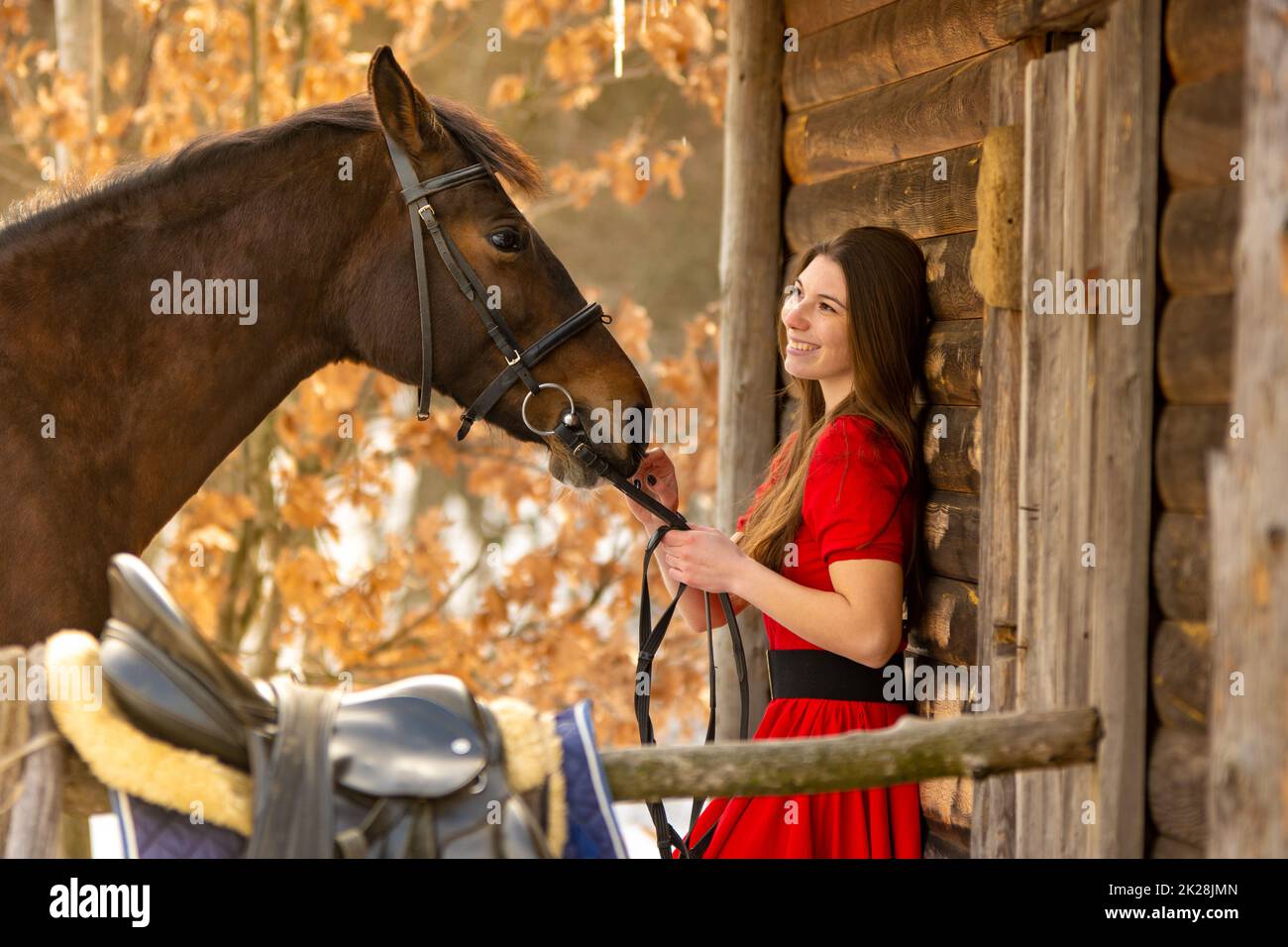Porträt eines schönen Mädchens in einem roten Kleid, ein Mädchen hält ein Pferd am Zaumzeug, ein schöner Hintergrund einer Holzmauer und Wald Stockfoto