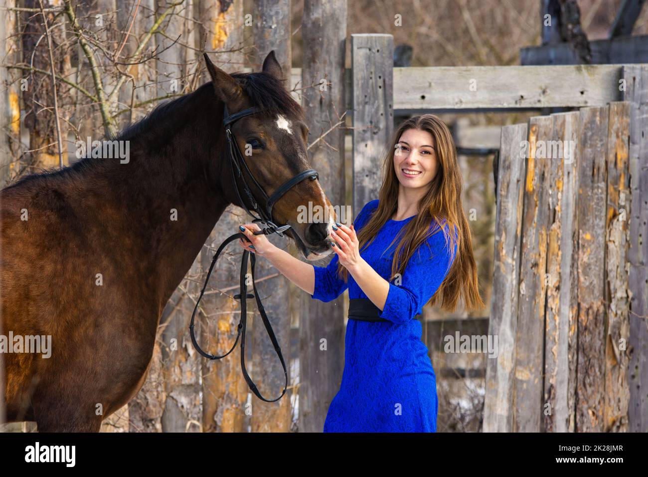 Porträt eines schönen Mädchens in einem blauen Kleid mit einem Pferd vor dem Hintergrund eines alten Holzzauns Stockfoto