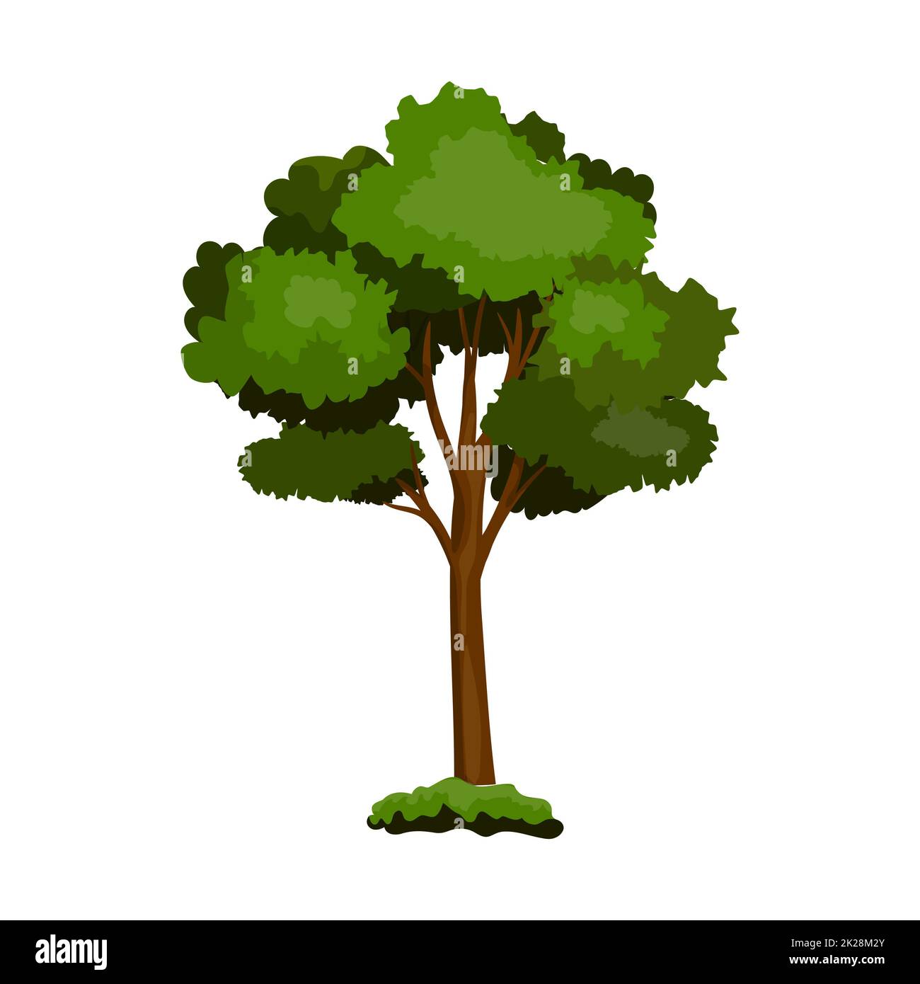 Realistischer grüner Milchbaum, isoliert auf weißem Hintergrund - Vektor Stockfoto