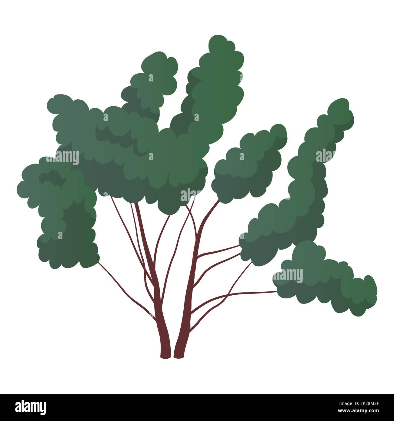 Realistischer grüner, grüner Busch, isoliert auf weißem Hintergrund - Vektor Stockfoto